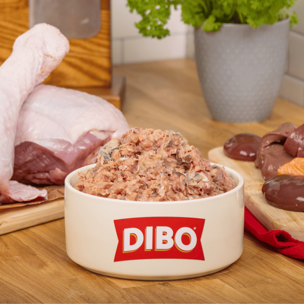 DIBO Finest Salmon, Turkey with Ox offal Raw Mince 80:10:10 (1kg)
