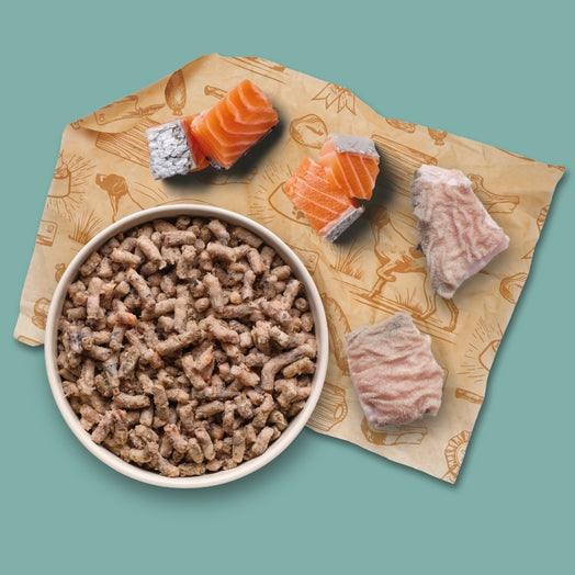 Salmon and Tripe