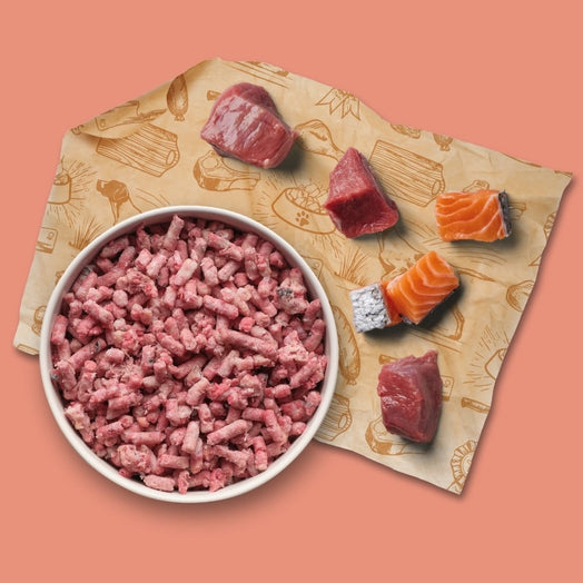 Beef and Salmon