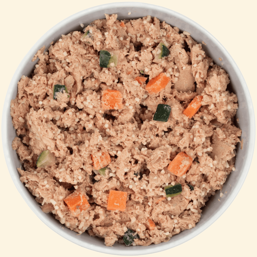 Fresh Menu Salmon