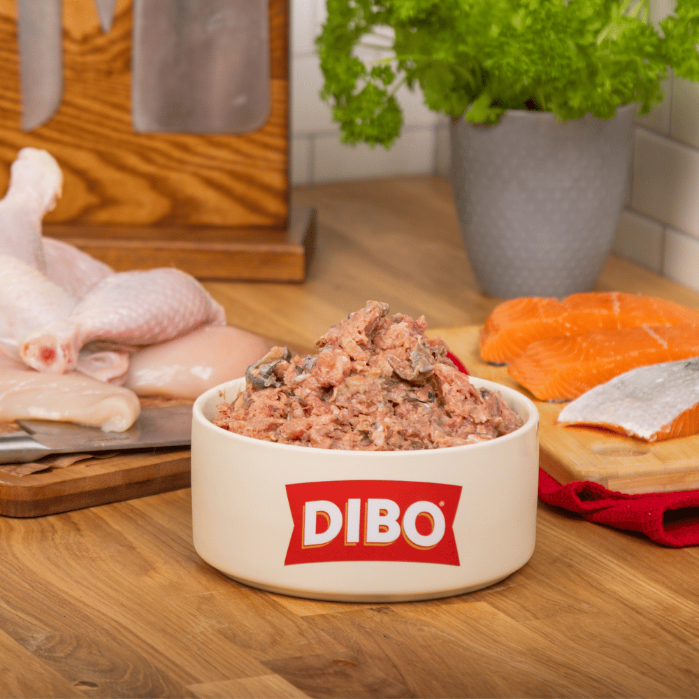 Meat Mix Chicken & Salmon Chubb