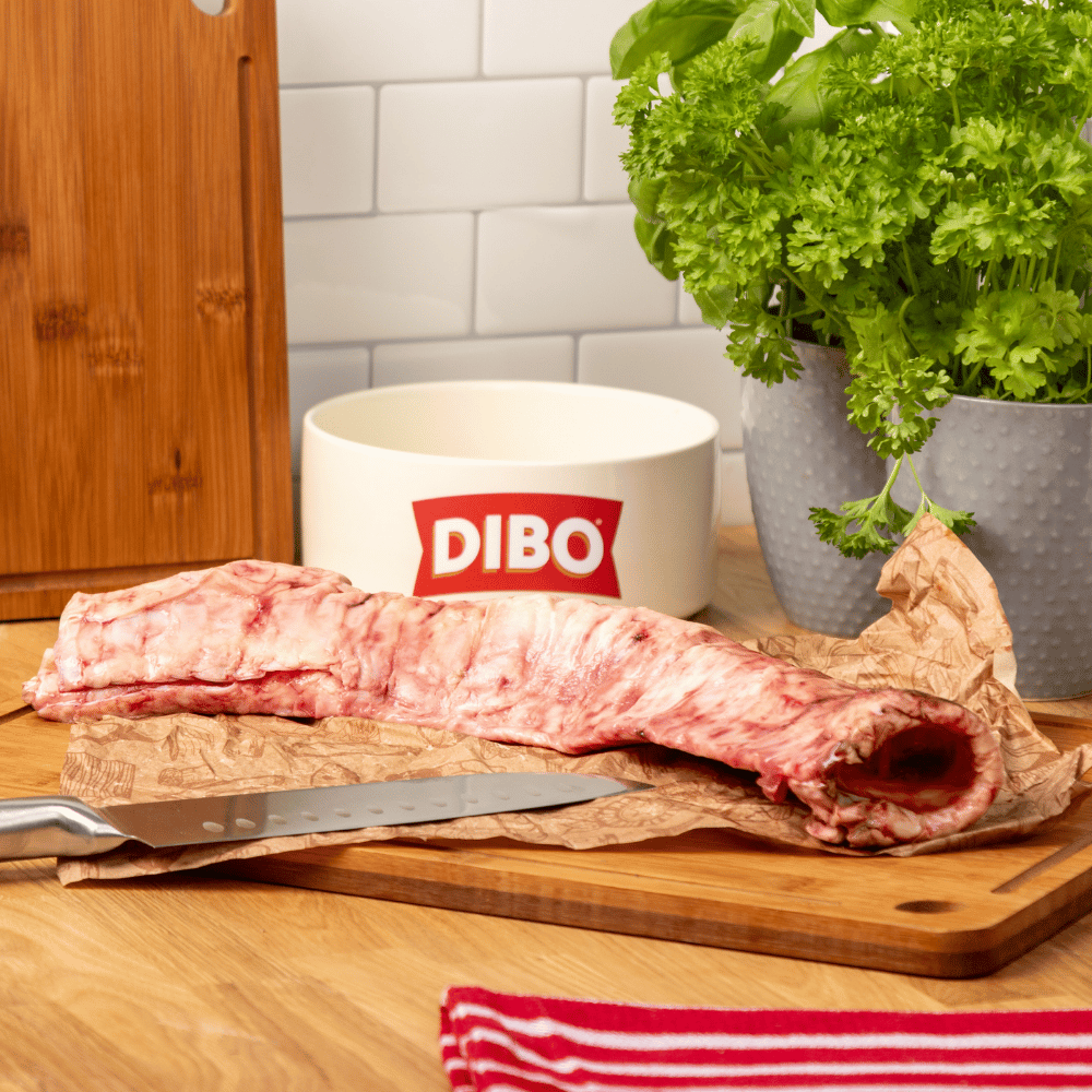DIBO Finest Raw Ox Trachea
